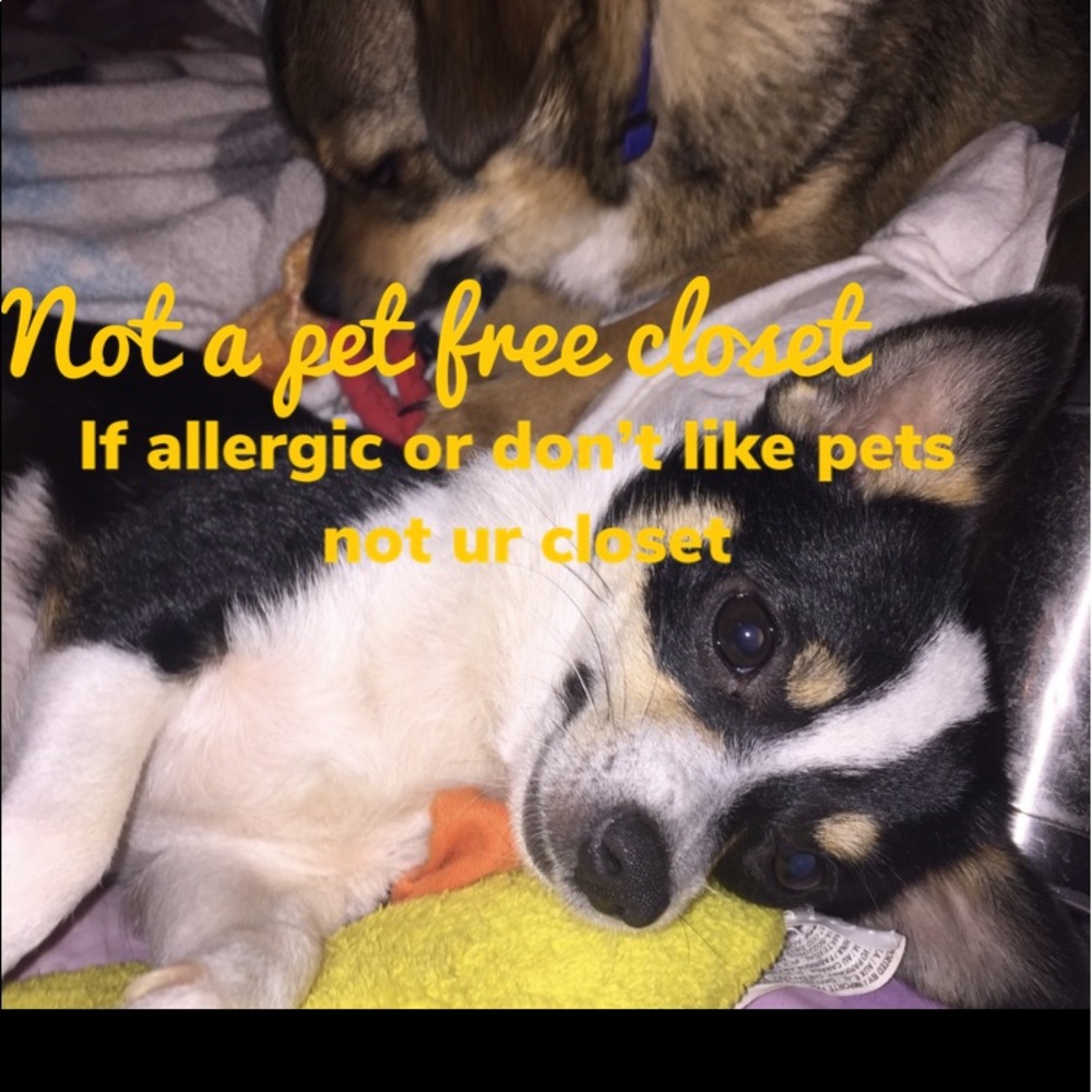 Please read b4 purchasing/trading